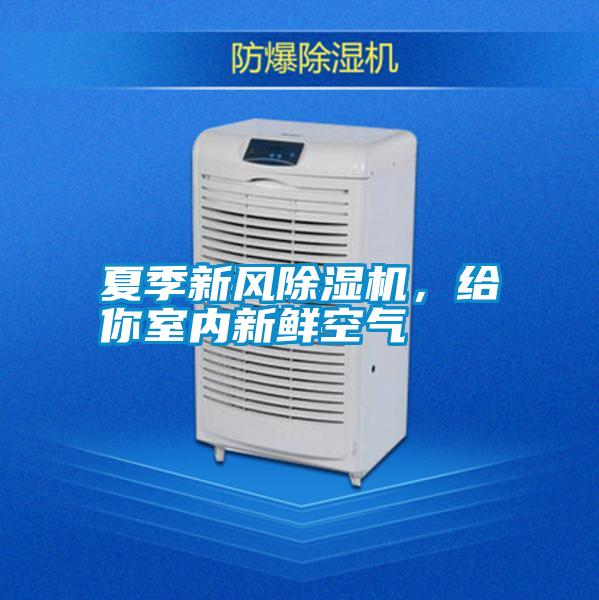 夏季新風除濕機，給你室內新鮮空氣