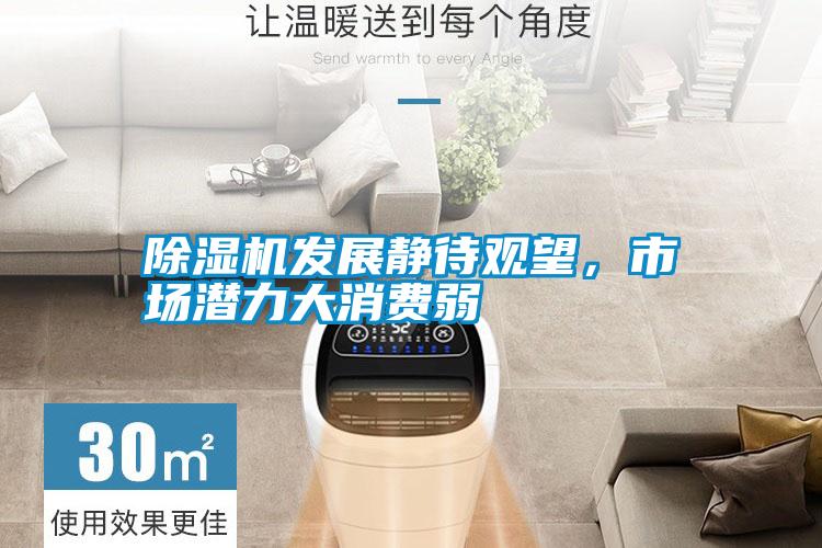 除濕機發展靜待觀望，市場潛力大消費弱