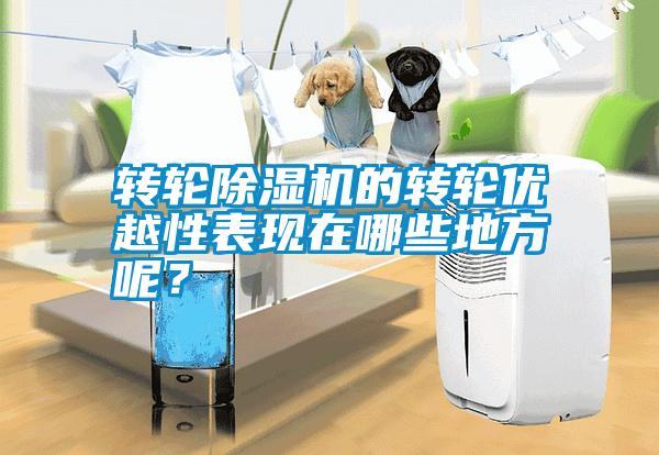 轉輪除濕機的轉輪優越性表現在哪些地方呢？