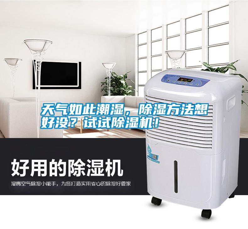 天氣如此潮濕，除濕方法想好沒？試試除濕機！