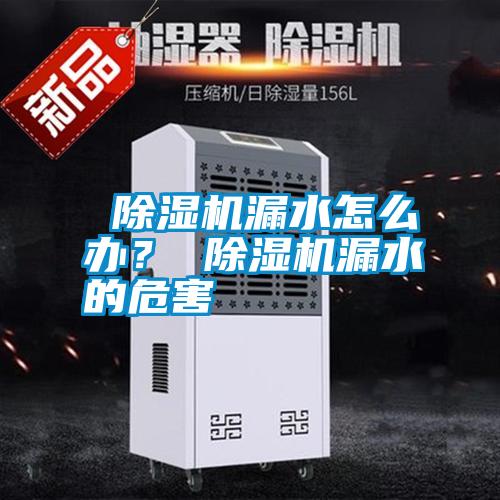  除濕機漏水怎么辦？ 除濕機漏水的危害