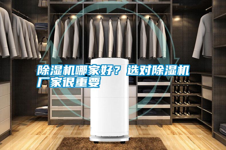 除濕機哪家好？選對除濕機廠家很重要