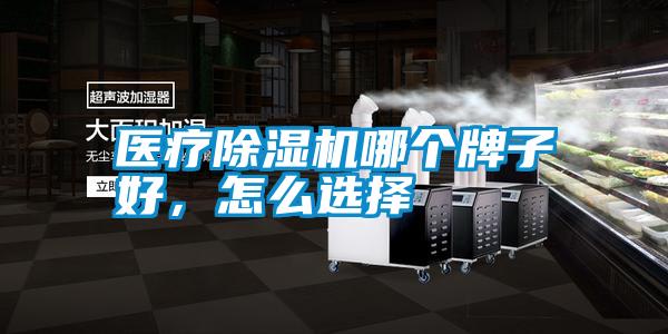 醫療除濕機哪個牌子好，怎么選擇