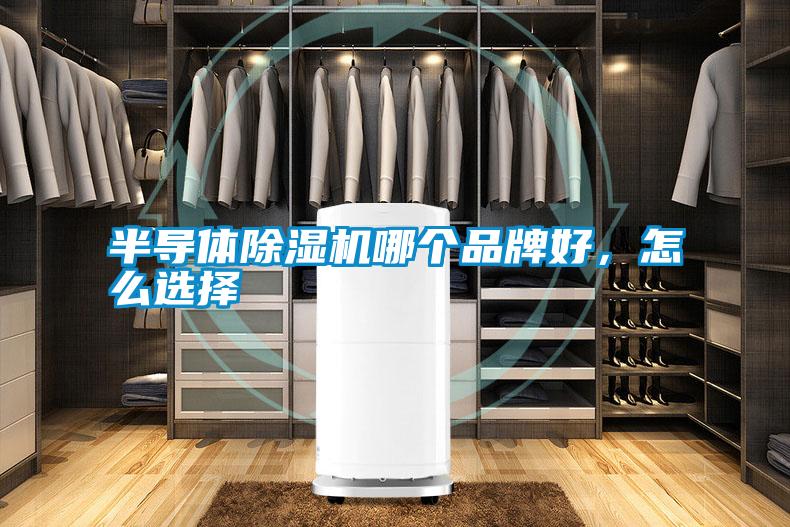 半導體除濕機哪個品牌好，怎么選擇
