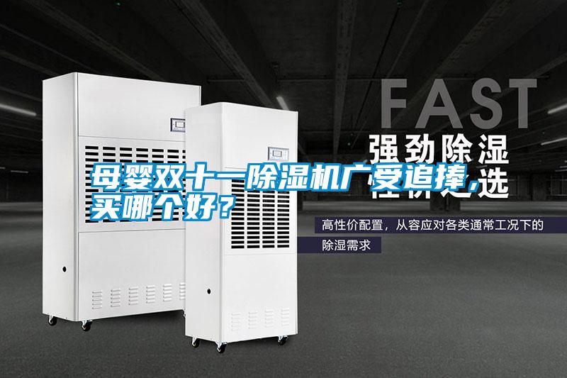 母嬰雙十一除濕機廣受追捧，買哪個好？