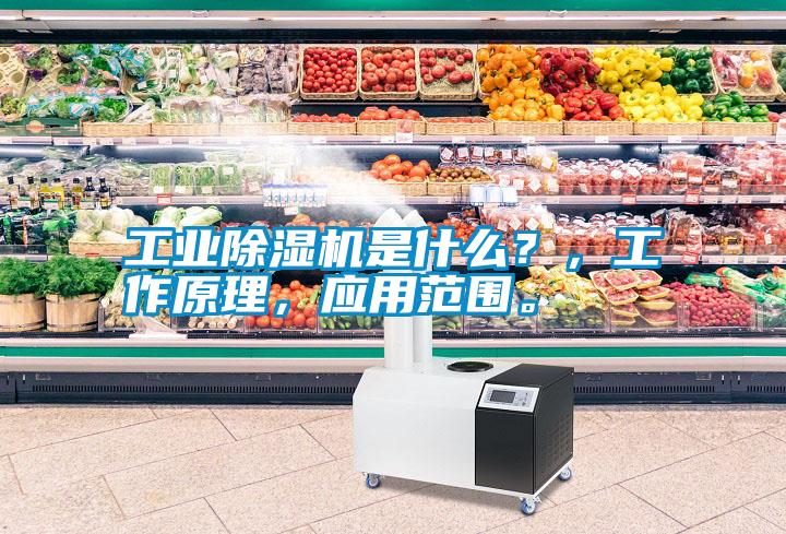 工業除濕機是什么？，工作原理，應用范圍。