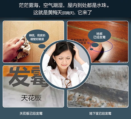 黑科技除濕機，拒絕討厭的濕氣問題