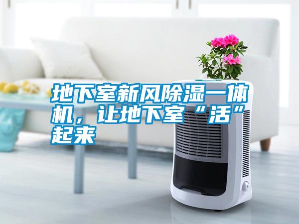 地下室新風除濕一體機，讓地下室“活”起來