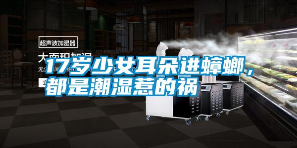 17歲少女耳朵進蟑螂，都是潮濕惹的禍