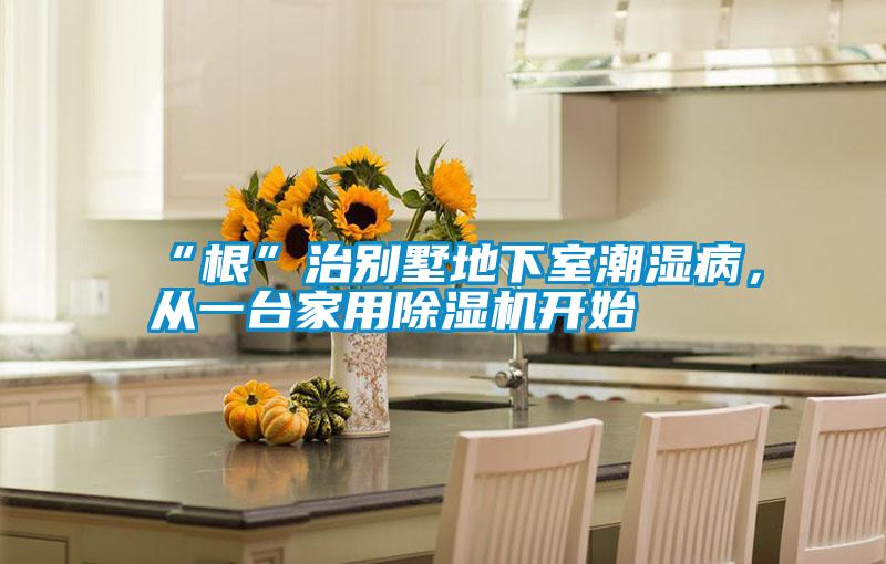 “根”治別墅地下室潮濕病，從一臺家用除濕機開始