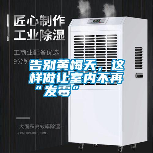 告別黃梅天，這樣做讓室內不再“發霉”