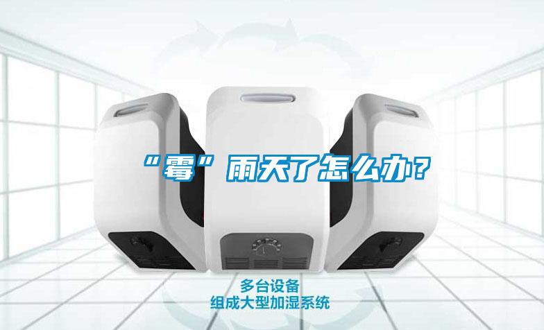 “霉”雨天了怎么辦？