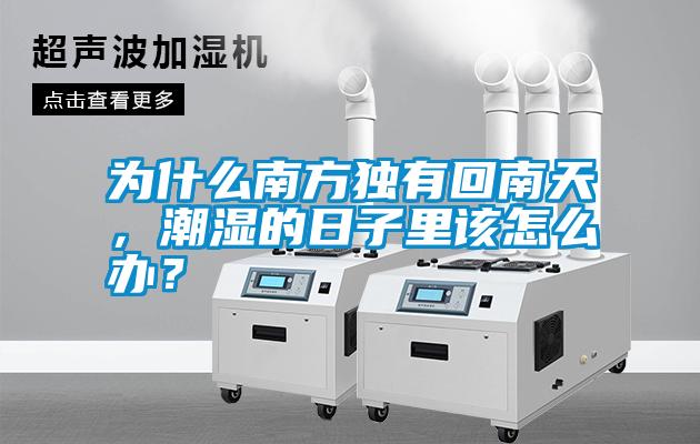 為什么南方獨有回南天，潮濕的日子里該怎么辦？