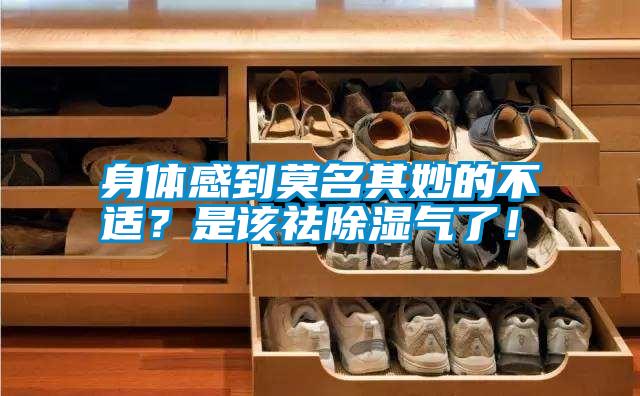身體感到莫名其妙的不適？是該祛除濕氣了！