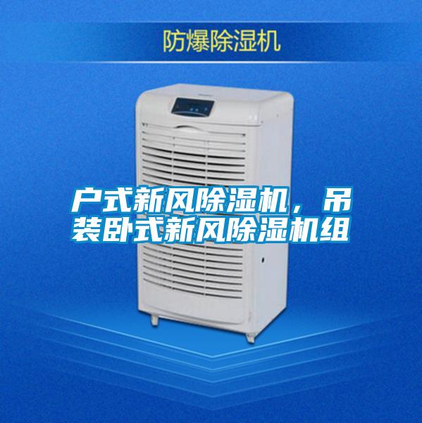 戶式新風除濕機，吊裝臥式新風除濕機組