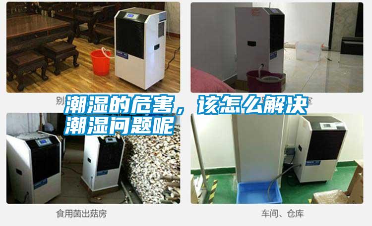潮濕的危害，該怎么解決潮濕問題呢
