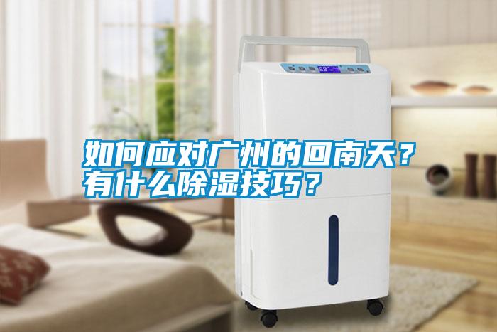 如何應對廣州的回南天？有什么除濕技巧？