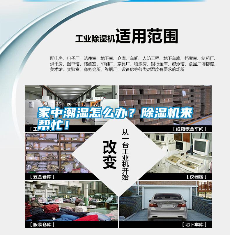 家中潮濕怎么辦？除濕機來幫忙！