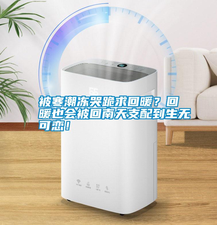 被寒潮凍哭跪求回暖？回暖也會被回南天支配到生無可戀！