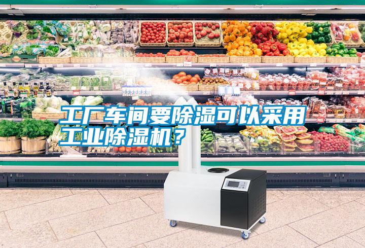 工廠車間要除濕可以采用工業除濕機？