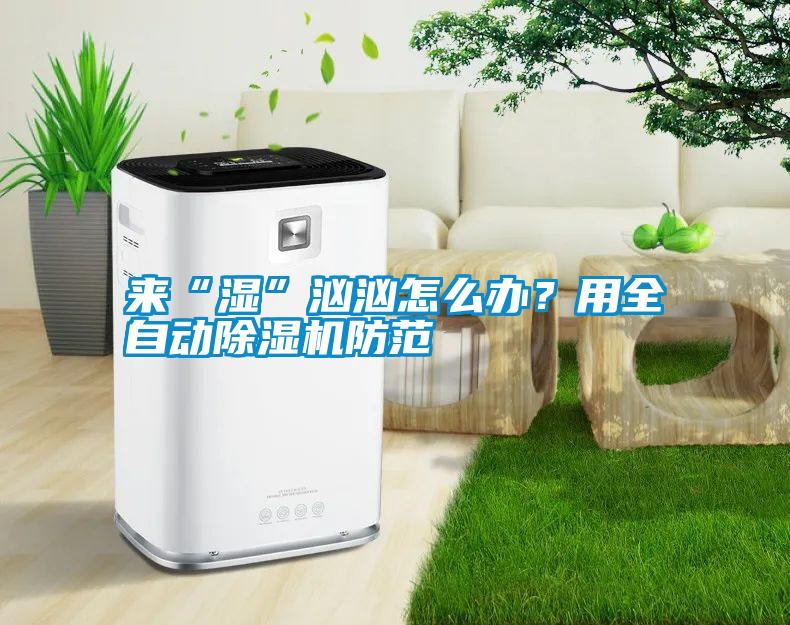 來“濕”洶洶怎么辦？用全自動除濕機防范