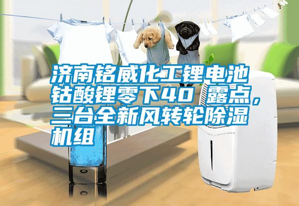 濟南銘威化工鋰電池鈷酸鋰零下40℃露點，三臺全新風轉輪除濕機組