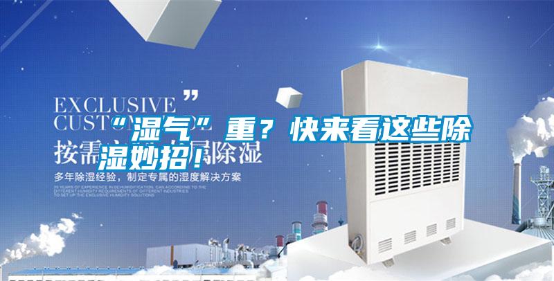 “濕氣”重？快來看這些除濕妙招！