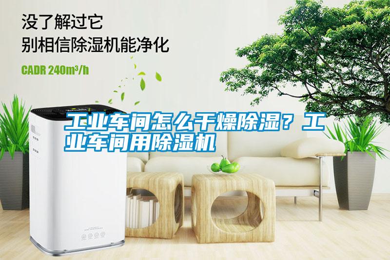 工業車間怎么干燥除濕？工業車間用除濕機
