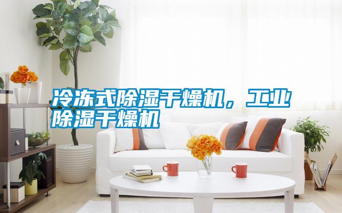 冷凍式除濕干燥機，工業除濕干燥機