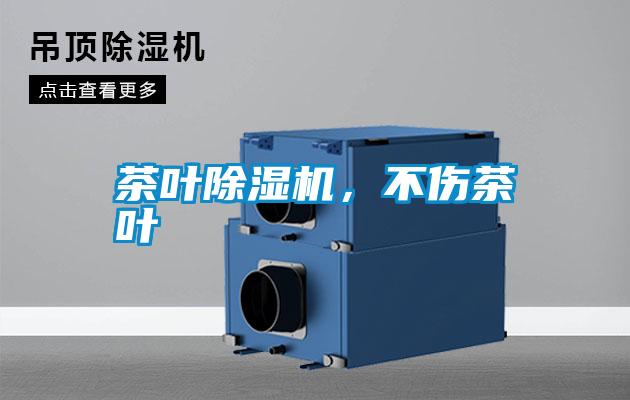茶葉除濕機，不傷茶葉