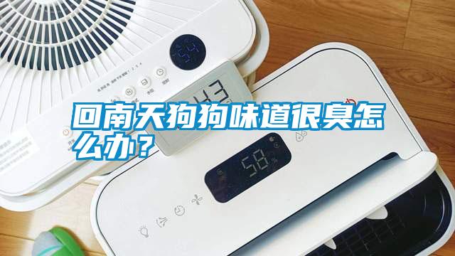回南天狗狗味道很臭怎么辦？