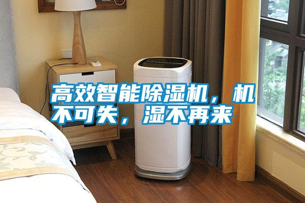 高效智能除濕機，機不可失，濕不再來