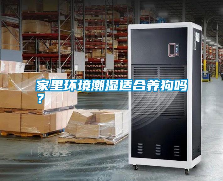 家里環境潮濕適合養狗嗎？