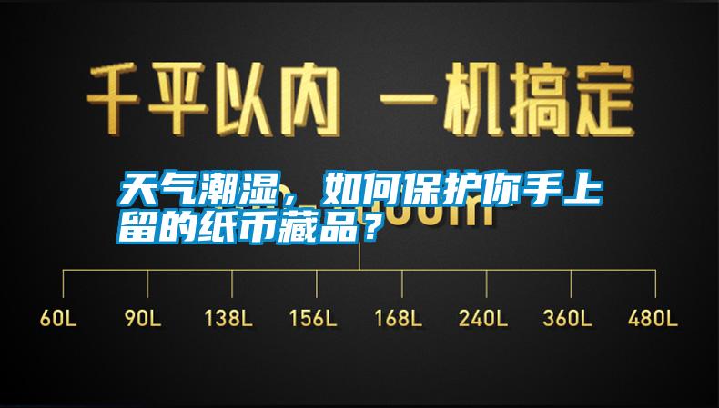 天氣潮濕，如何保護你手上留的紙幣藏品？