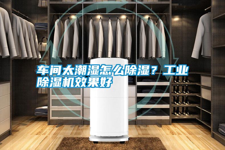 車間太潮濕怎么除濕？工業除濕機效果好