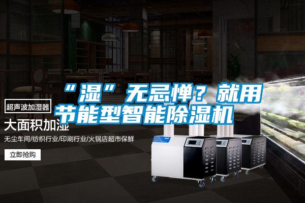 “濕”無忌憚？就用節能型智能除濕機