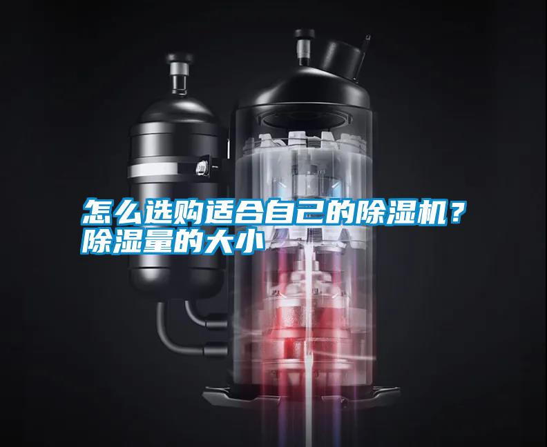 怎么選購適合自己的除濕機？除濕量的大小