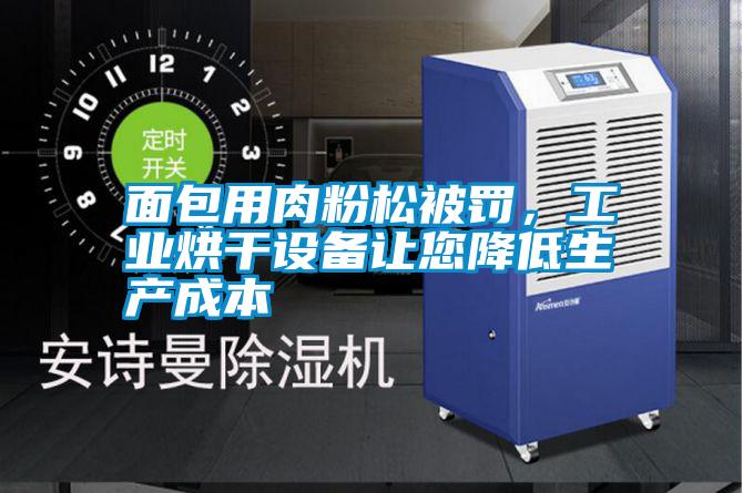 面包用肉粉松被罰，工業烘干設備讓您降低生產成本