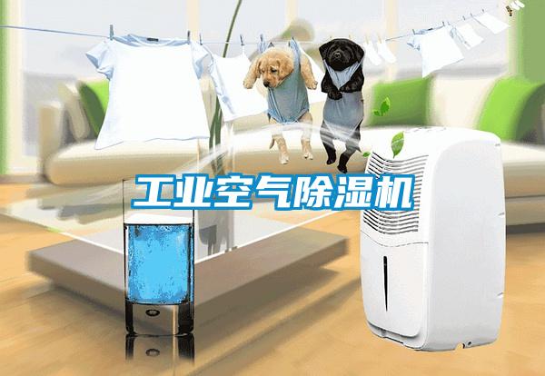 工業空氣除濕機