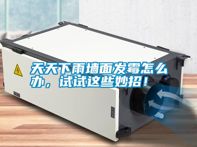 天天下雨墻面發霉怎么辦，試試這些妙招！