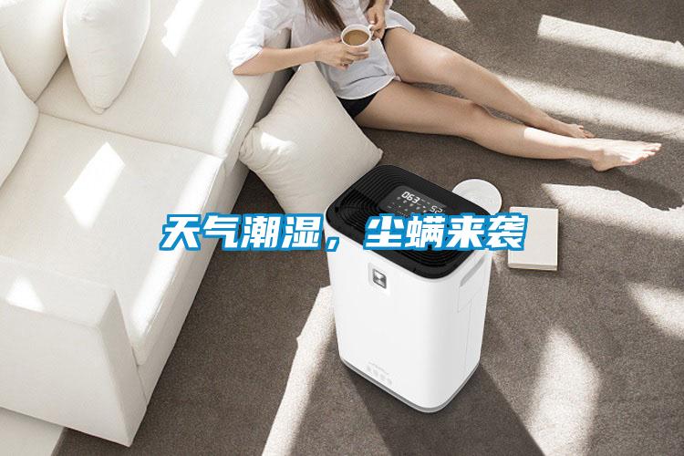 天氣潮濕，塵螨來襲