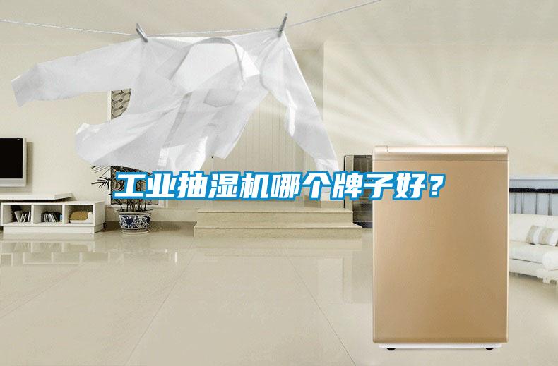 工業抽濕機哪個牌子好？