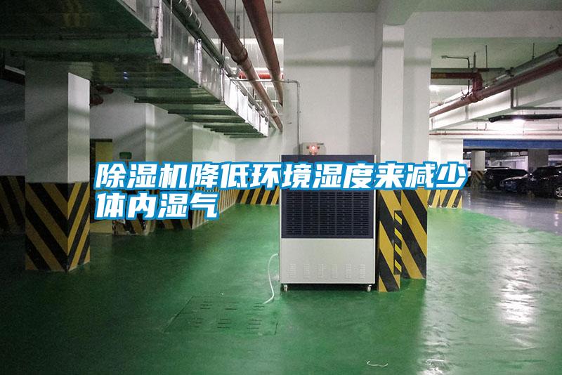 除濕機降低環境濕度來減少體內濕氣