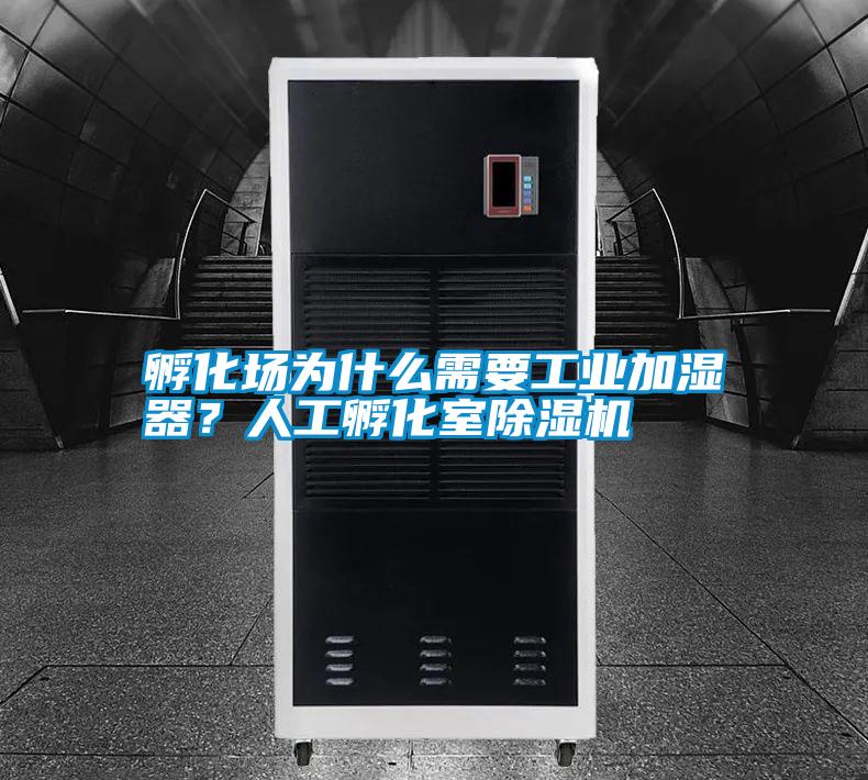 孵化場為什么需要工業加濕器？人工孵化室除濕機