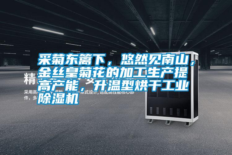 采菊東籬下，悠然見南山，金絲皇菊花的加工生產提高產能，升溫型烘干工業除濕機