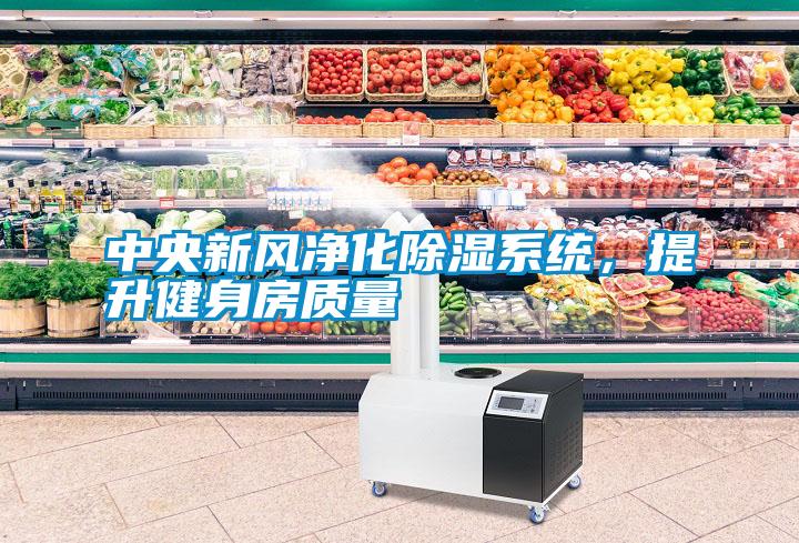 中央新風凈化除濕系統，提升健身房質量
