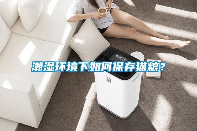 潮濕環境下如何保存貓糧？