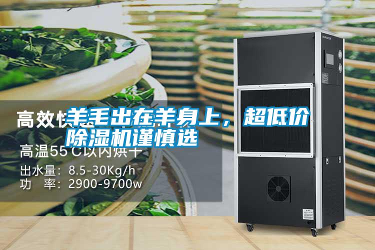羊毛出在羊身上，超低價除濕機謹慎選