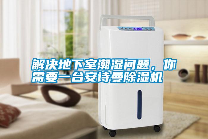 解決地下室潮濕問題，你需要一臺安詩曼除濕機