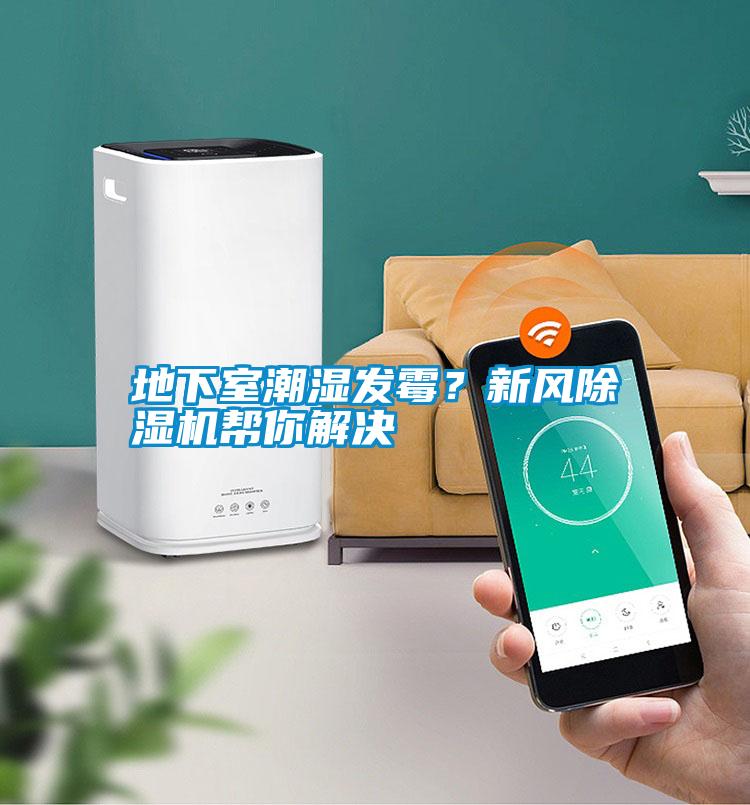 地下室潮濕發霉？新風除濕機幫你解決